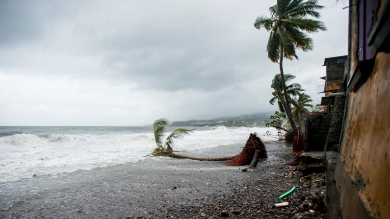 Illustration. (Photo LIONEL CHAMOISEAU/AFP via Getty Images)