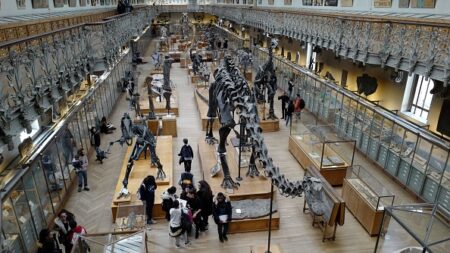 Un futur centre de la «matière extra-terrestre» au Muséum d’histoire naturelle