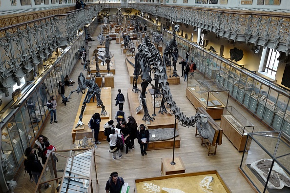 Le Muséum national d'histoire naturelle. (LUDOVIC MARIN/AFP via Getty Images)