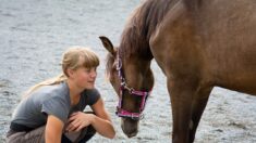 Gironde: un hippobus emmène les enfants à l’école, ils sont ravis!