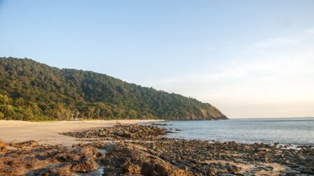 «Koh-Lanta»: Frédéric gagne l’épreuve des poteaux et la finale face à Tania