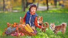 Des chiens dans les écoles: la médiation animale pour prendre soin des élèves