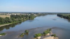 Nevers: avec son père, il pêche un énorme silure dans la Loire