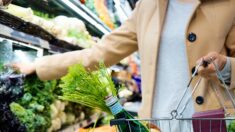 Quatre pistes pour une souveraineté alimentaire respectueuse de la santé et de l’environnement