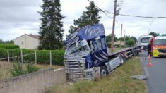 Piqué par une guêpe, un routier fait une sortie de route en Dordogne