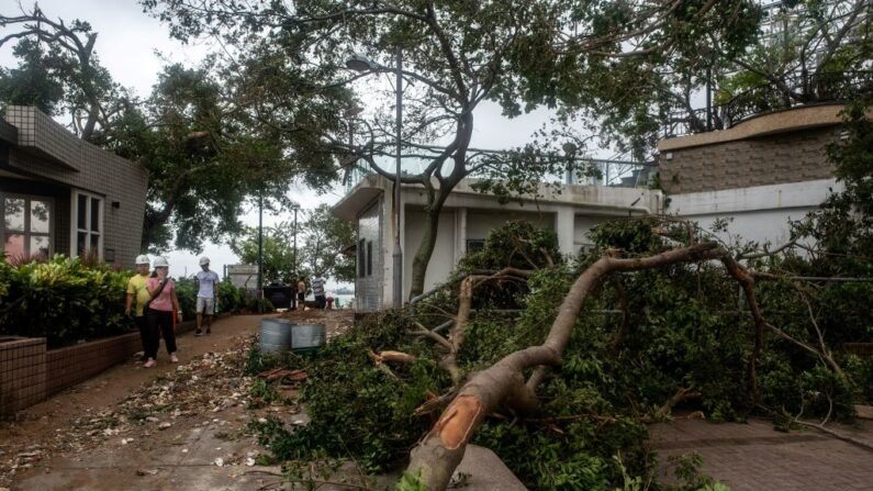 Après le passage du typhon Mangkhut à Hong Kong, le 17 septembre 2018. (PHILIP FONG/AFP via Getty Images)