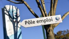 Projet de loi «pour le plein emploi»: le Sénat vote deux articles clés