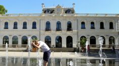 La municipalité de Brive-la-Gaillarde prévoit de planter 1000 arbres pour apporter de la fraîcheur dans la ville