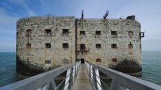 Fort Boyard: la place d’Anthony, alias Passe-Muraille, remise en question par «les bien-pensants»