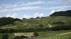 La 13e étape du Tour: le peloton à l’assaut du Jura