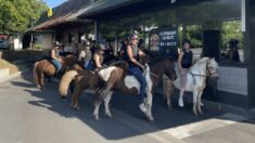 Elles passent commande à cheval au drive de ce McDonald’s de l’Oise