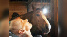 Le dernier souhait d’une femme de 79 ans est exaucé : les soignants lui permettent de voir une dernière fois son cheval bien-aimé