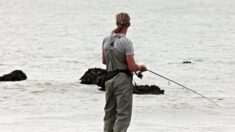 Le secteur de la pêche de loisir est confronté à un avenir sombre à l’ombre des éoliennes, selon les pêcheurs