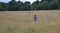 Gers: un petit garçon de 4 ans décède en chutant d’un chariot tiré par le tracteur de son père