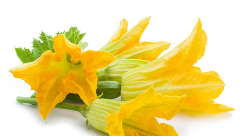 Les fleurs de courge et de courgette peuvent être frites, poêlées, sautées, cuites au four ou servies crues. (Valentyn Volkov/Shutterstock)