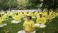 Un spécialiste des droits de l’homme explique pourquoi la persécution du Falun Gong par le PCC est particulièrement odieuse