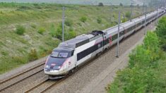 Après une erreur d’aiguillage, des passagers d’un TGV Paris-Besançon envoyés vers Lyon