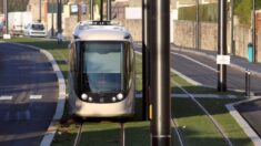 Un homme de 90 ans perd la vie, renversé par un tramway à Nice