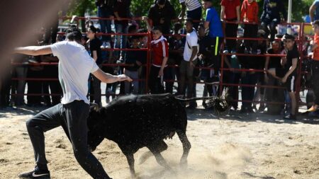 Un homme meurt après avoir été percuté par une vache à Saint-Just pendant la fête votive