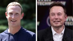 Musk fait le point sur le combat en cage avec Zuckerberg