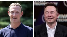 Il est temps de passer à autre chose : Zuckerberg estime que Musk « n’est pas sérieux » à propos de ce combat en cage