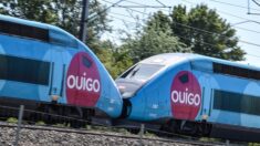 La SNCF veut lancer plusieurs nouvelles liaisons en train lent fin 2024