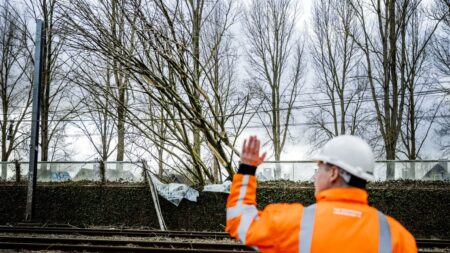 Une forte amende pour SNCF Réseau condamnée pour complicité d’atteinte à l’environnement