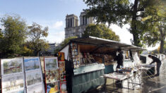 Les bouquinistes devront plier bagage le temps des JO