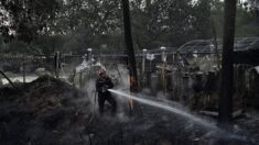 Plus de 3000 campeurs évacués lors d’un violent incendie dans les Pyrénées-Orientales