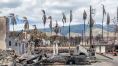 Joe Biden se rendra à Hawaï le 21 août pour rencontrer les secours et les survivants des incendies