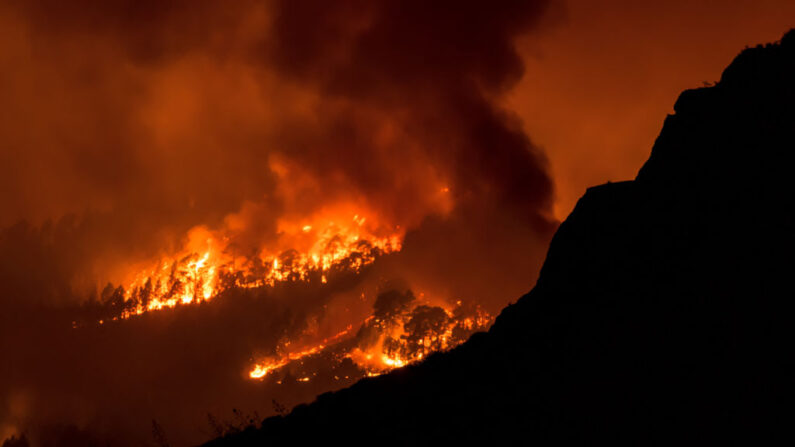 Illustration. (Photo DESIREE MARTIN/AFP via Getty Images)