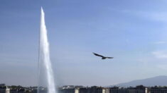 Il tente d’embrasser le jet d’eau de Genève et termine à l’hôpital