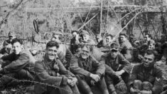 Début de l’exhumation des corps de soldats allemands exécutés en juin 1944 en Corrèze