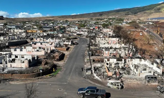 Des voitures et des maisons brûlées dans un quartier détruit par un incendie de forêt à Lahaina, Hawaï, le 17 août 2023. (Justin Sullivan/Getty Images)