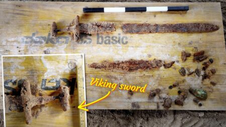 Un couple norvégien trouve dans son jardin en plein travaux une tombe viking et une épée âgée de 1000 ans