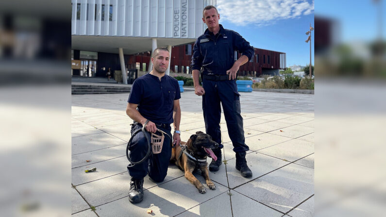 Thor - Photo de la Police nationale de la Charente-Maritime