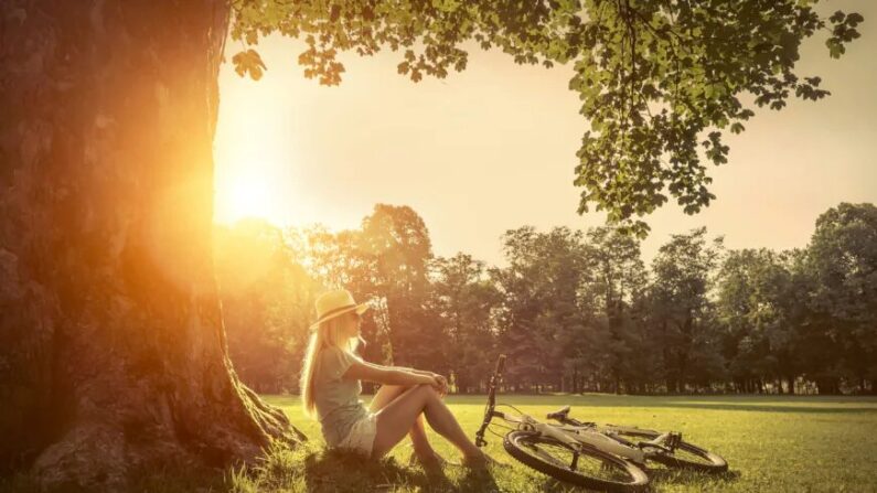 La lumière naturelle est un élément naturel de la santé et du bien-être.