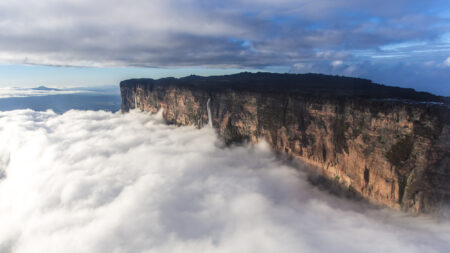 Le monde perdu : la plus ancienne montagne du monde, recouverte de nuages, abrite une faune unique