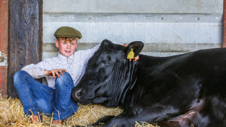 Un garçon autiste de 11 ans loue un terrain, élève des moutons et apprend à filer la laine