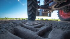 Indre-et-Loire: après une sortie de route, un agriculteur meurt écrasé sous la remorque de son tracteur