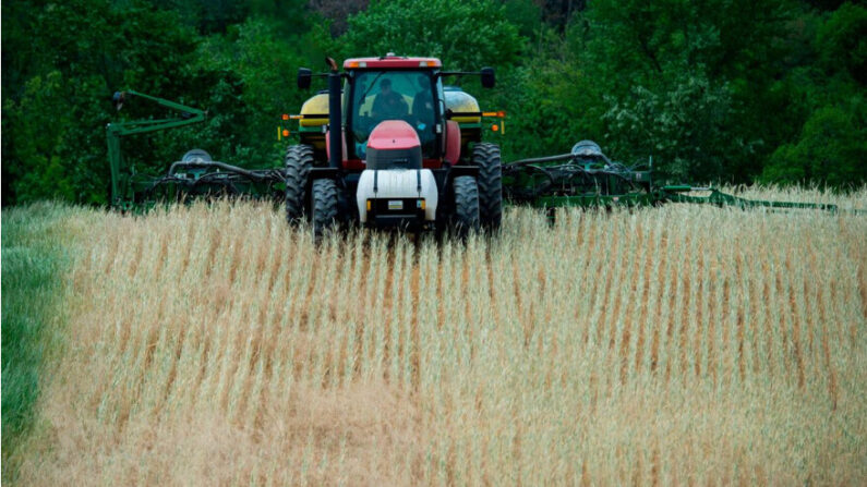 Un agriculteur plante du maïs dans le champ de Marvin Chapel à Mount Airy, dans le Maryland, le 19 mai 2020. (Andrew Caballero-Reynolds/AFP via Getty Images)