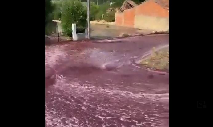 Plus de deux millions de litres de vin ont coulé dans les rues de Lévira, un village  au Portugal. (Capture d'écran de X @Brain Quest)