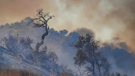 Des études sur le climat montrent qu’un «consensus» repose sur l’intimidation et non sur la science