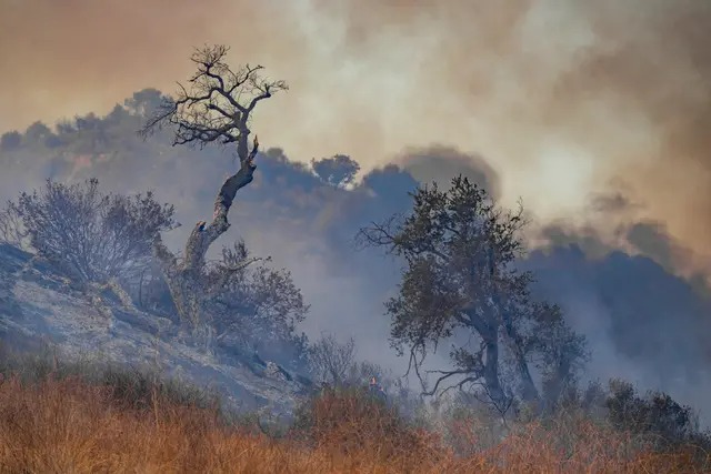 L'incendie de Bond dans le canyon de Silverado, en Californie, le 5 décembre 2020. (John Fredricks/The Epoch Times)