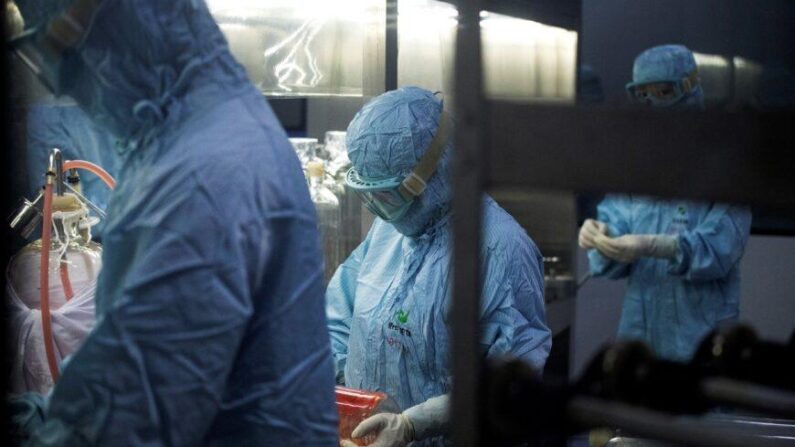 Des chercheurs en combinaison de protection travaillent dans un laboratoire biopharmaceutique à Shenyang, dans la province de Liaoning, en Chine, le 9 juin 2020. (Noel Celis/AFP via Getty Images)