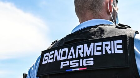 Délit de fuite: trois ans de prison ferme pour un homme de 23 ans qui avait renversé et blessé un gendarme