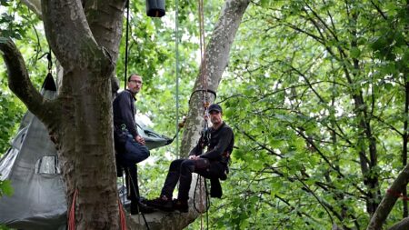 Il s’installe dans le platane devant le ministère de la Transition écologique pour sauver des arbres centenaires de l’abattage