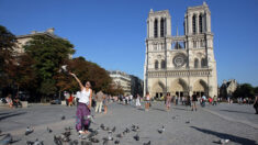 Deux vitraux de la cathédrale de Notre-Dame vendus aux enchères, Sotheby’s soupçonné de «vol» et «recel»