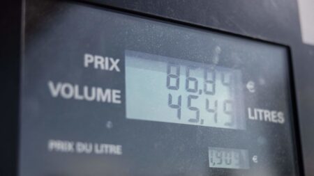 Qui bénéficiera de l’aide de 100 euros sur le carburant annoncée par Emmanuel Macron?