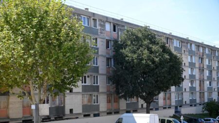 Marseille: Socayna, la jeune femme de 24 ans touchée à la tête par des tirs alors qu’elle était chez elle, est décédée